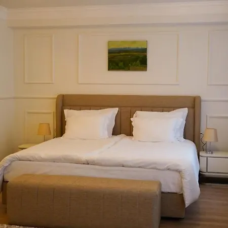 Felix Kanitz - In The Heart Of Kapana District Apartment *