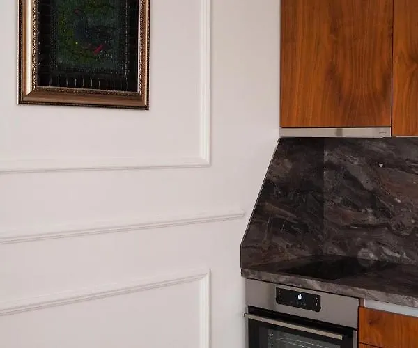 公寓 Felix Kanitz - In The Heart Of Kapana District 普罗夫迪夫